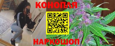 прущие грибы Рязань