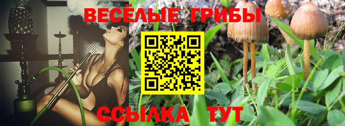 Галлюциногенные грибы MAGIC MUSHROOMS Нефтекамск